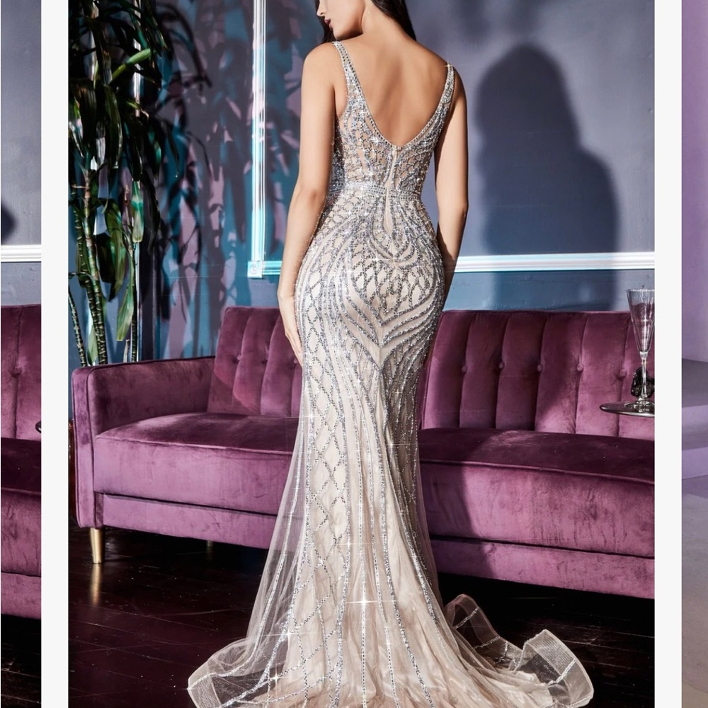 Cinderella divine dress , size 6 , silver nude .